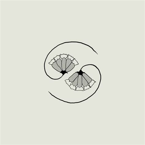 Godspeed You! Black Emperor: „G_D’S PEE AT STATE’S END!“ erscheint am 02.04.2021