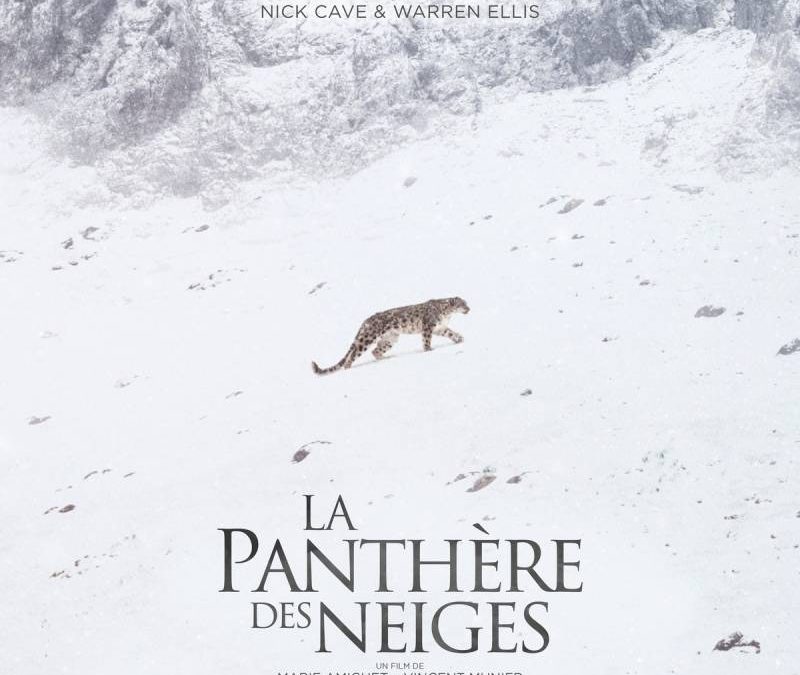 Nick Cave and Warren Ellis – ‚La Panthère Des Neiges‘